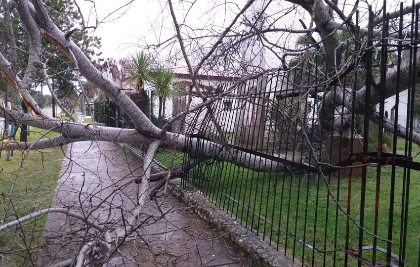  Temporal en Crespo y la zona provocó caída de árboles, postes y voladura de techos